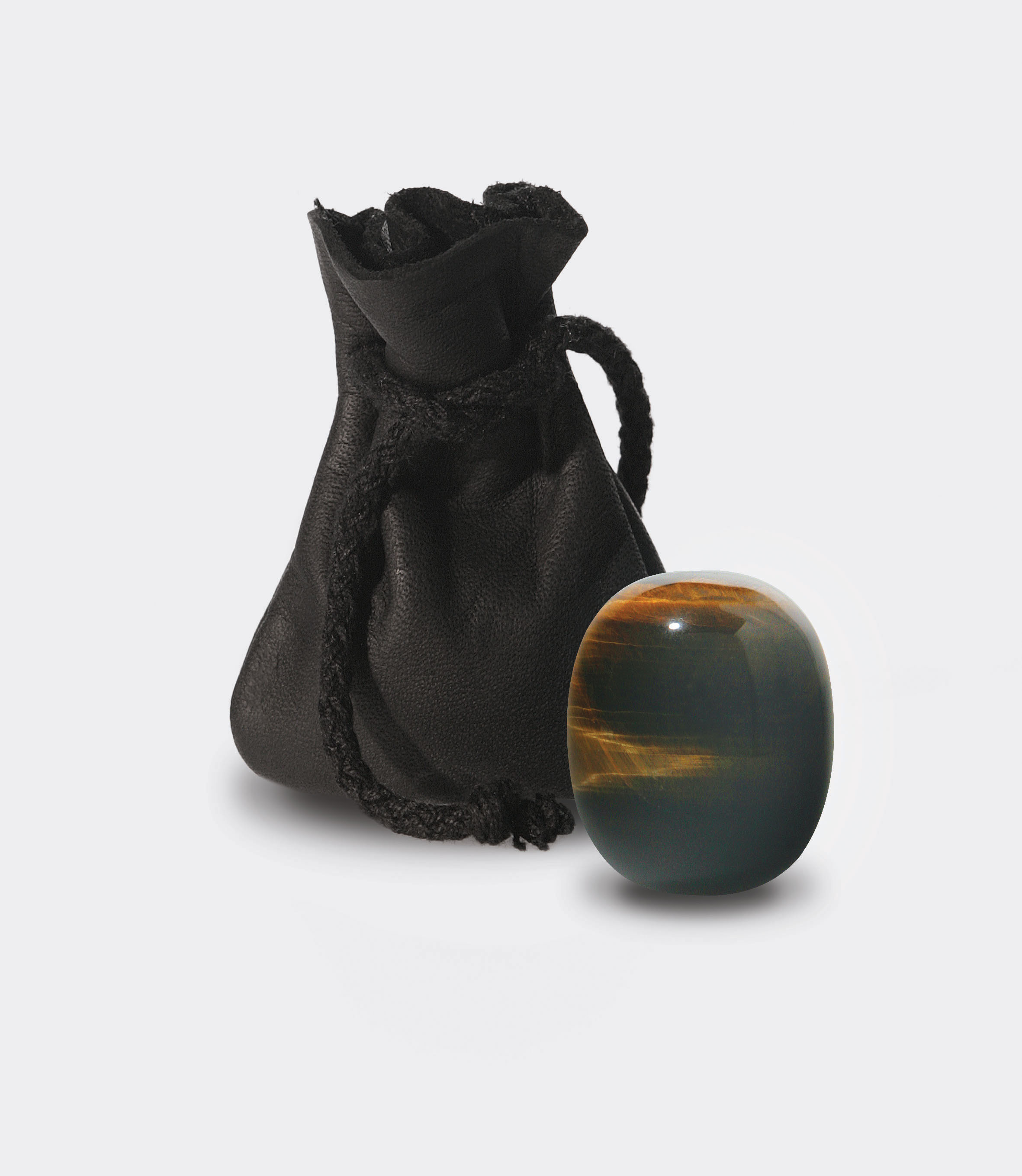 Tiger Eye_Gemini_22503